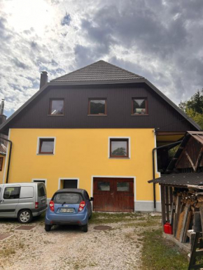 Apartma Brin